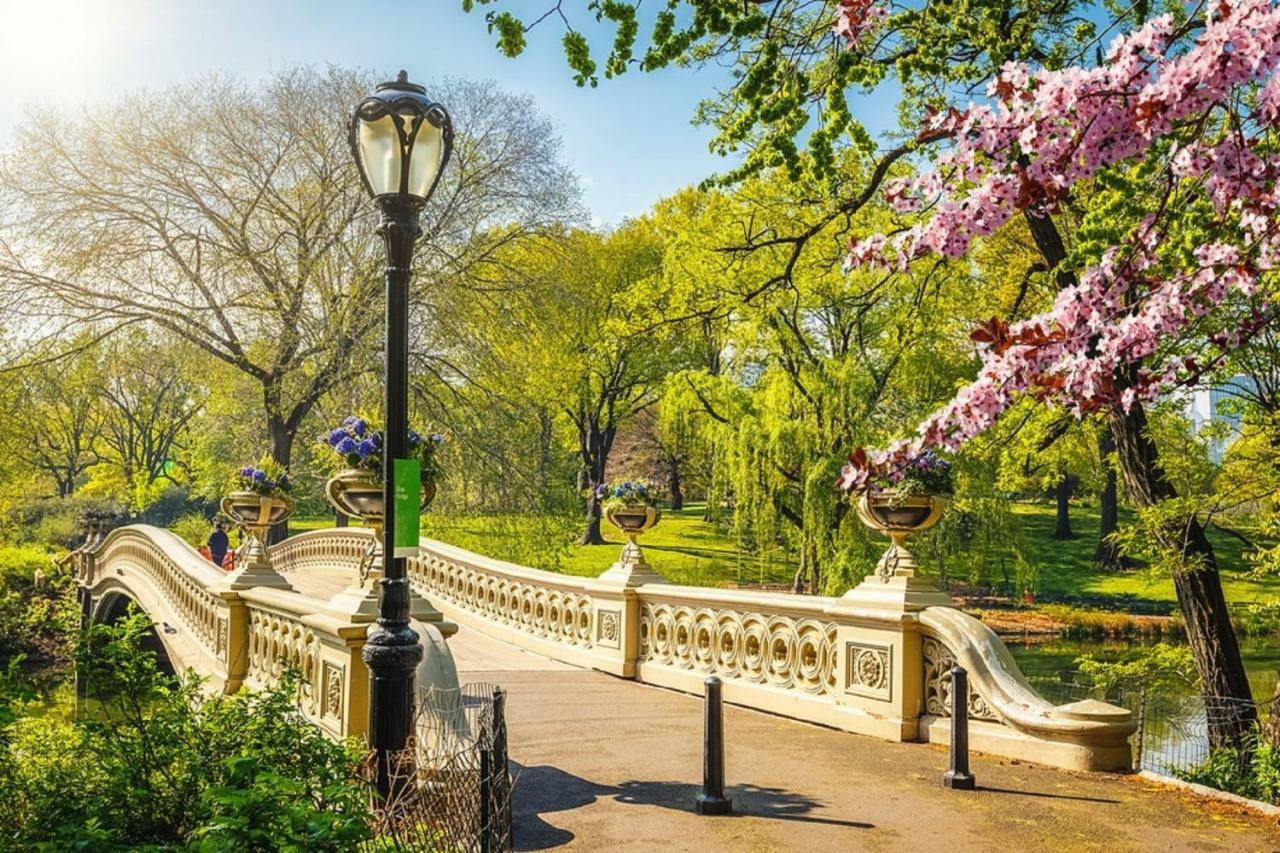 Frederick'S Place - Convenient Condo Walk To Central Park And Columbia University New York Eksteriør billede